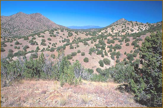 The Cerrillos Hills, Cerrillos, New Mexico